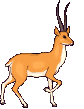 doe imatges-animades-gif